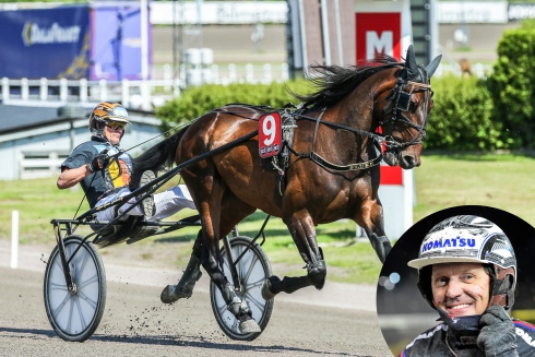 Lars-Göran Söderberg bakom fyraåriga stoet Fluke. På lördag kör Ulf Ohlsson. Foto: Lena Emmoth/TR Bild Foto av Lena Emmoth/TR Bild